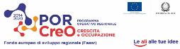 Immagine - Finanziamenti europei: Sviluppo Toscana, il  punto in commissione